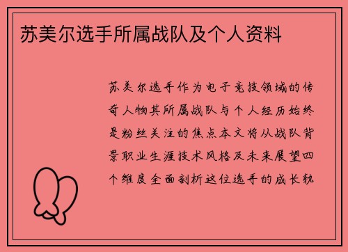 苏美尔选手所属战队及个人资料