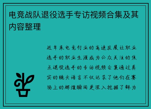 电竞战队退役选手专访视频合集及其内容整理
